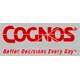 -  Cognos